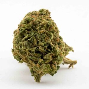 Biscotti Runtz-2 Biscotti Runtz