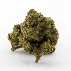 Italian Ice Italian Ice